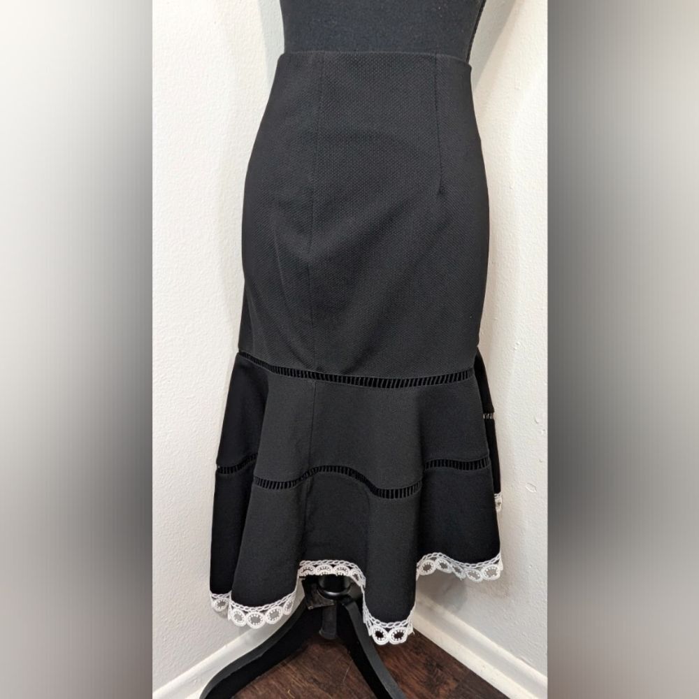 Boston Proper Lace Whimsigoth Witchy Romantic Dark Academia Preppy Skirt M